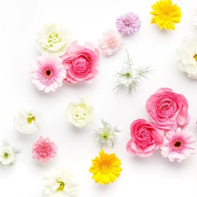 rara_kkis2's profile picture. 高級🛁🚗💨🥂9年目。美容、外食、K-POP、動物が大好きです🐱💖