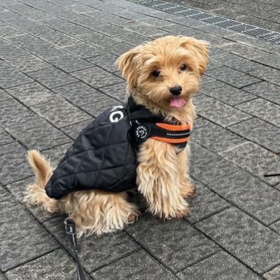 tsubasa_bp's profile picture. 福岡 | Music & Pub Fools Gold 店主