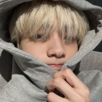 anne (@wariaede) 's Twitter Profile
