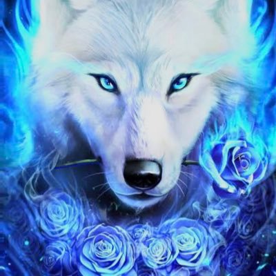 HopeHope38629's profile picture. I’m 21 if I’ve done anything wrong please let me know so I can fix it  this is a fan account. I also have an account on tumblr and bluesky 🔞