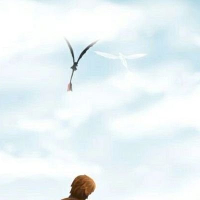 ZaR_Augusto's profile picture. 