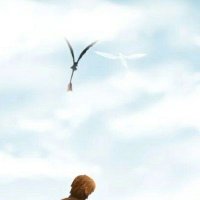 rar (@zar_augusto) 's Twitter Profile