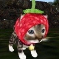 me ♡ (@yoksjjh) 's Twitter Profile
