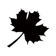 PithyMfweb's profile picture. Based in China, we’re a one-stop website design agency providing services such as design, development, enhancement and maintenance for websites.