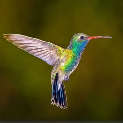 KyleK993's profile picture. VC ((blockchain))