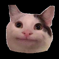 karnisov's profile picture. professional ♥ guy of animal posts
* no politics 
* no social outrage
* no crypto
* ask permission before DM please