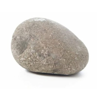 Pet Rock