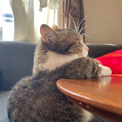 asoneaz's profile picture. 20↑