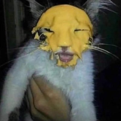 luislopezll8's profile picture. Hmu with dubstep