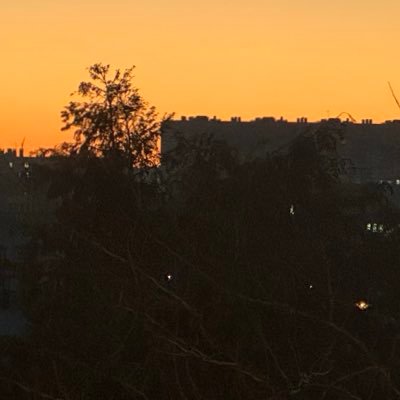 Theo_wafr's profile picture. 