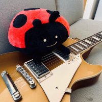 脱兎くん (@iamdattt) 's Twitter Profile
