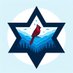 The NC Democratic Jewish Caucus (@NCJewishDems) Twitter profile photo