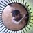 merche_gs's profile image
