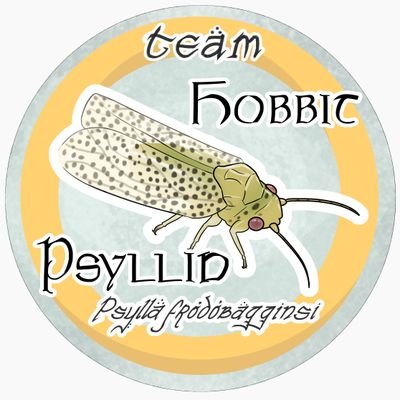 hobbit_psyllid Profile Picture