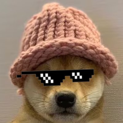 You've had enough of Dog Wif Hat memes? Sorry, better Deal $WIFIT. 

Welcome to the best dog-themed shitcoin on Solana. 

https://t.co/Xw6uXha733