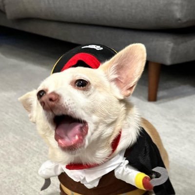 kittym_____'s profile picture. 