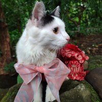 G.R.A CHARLOTTE ABIGAIL KARTAZEN (@radencharlotte) 's Twitter Profile