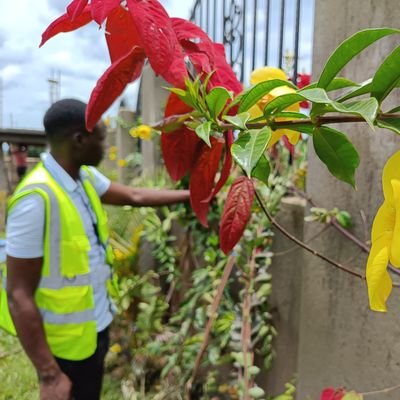 Landscape Designer| Gardening| 3D Render| Compound Designer
Connecting people to nature through design #flowers #garden #landscapesU