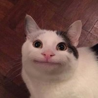 hxa (@hxahwa) 's Twitter Profile Photo