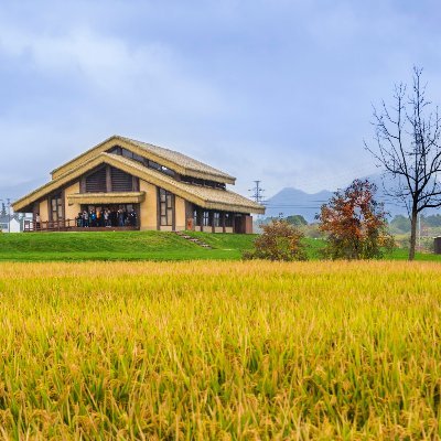 遇见一粒万年稻米～探文明之源 筑万年根基    互fo    Zhejiang