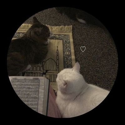 لدَي أَجنحَةٍ لَا تَرَاهَا لأَنَّكَ لَا تَسْكنُ اَلسَّمَاء ♡