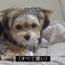 胃 (@03_jmnk) Twitter profile photo 胃 (@03_jmnk) Twitter profile photo
