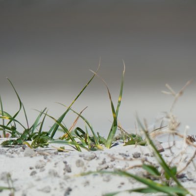 Ich mag: Natur, Berge, Meer, empathische Menschen! Ich mag keine Kriegstreiber, Lobbyisten, Lügner und ich werde nie gendern