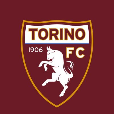 Pagina ufficiale Torino Football Club 🐂   @torinofc1906_en 🇬🇧🇺🇸