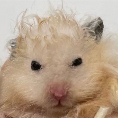 Nicoleism7's profile picture. 