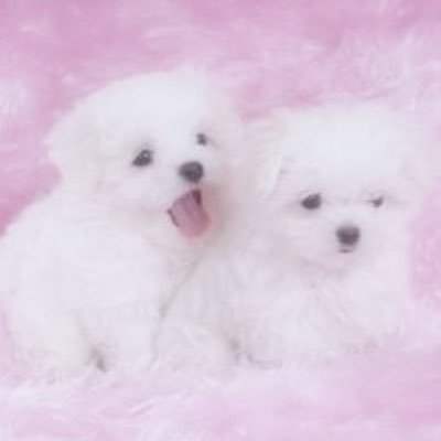 namwan✮さんのプロフィール画像