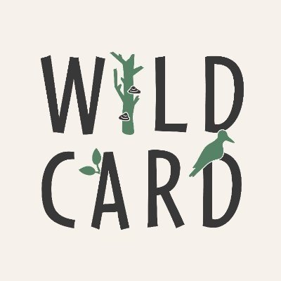 WILDCARD_EU Profile Picture