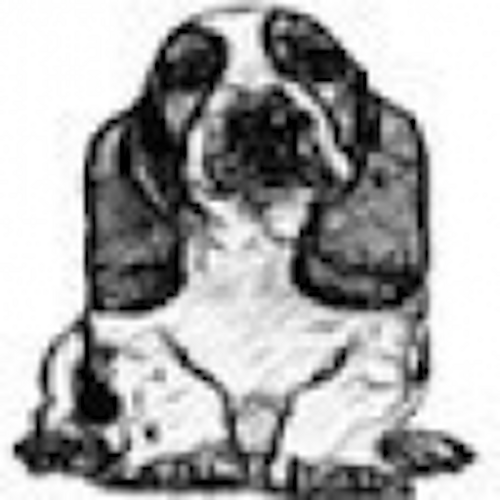 osatmcom's profile picture. https://t.co/9Sd8P8X3k6