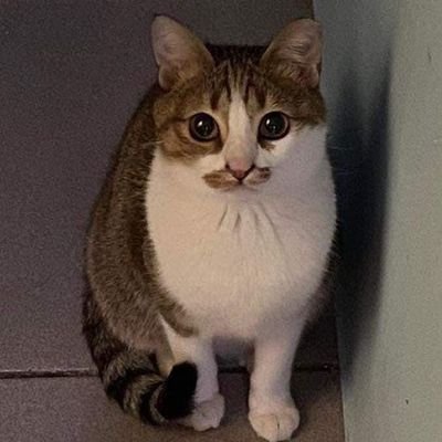 Ljoju6's profile picture. 