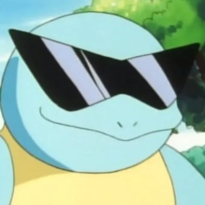 I am a good pokemon player. I like squirtle.