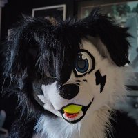 Pochi Collie 🖤🤍 (@pochioreocollie) 's Twitter Profile Photo Pochi Collie 🖤🤍 (@pochioreocollie) 's Twitter Profile Photo