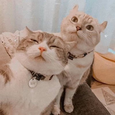 Kikyo0182's profile picture. 