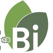 Estudio de bacterias patógenas de plantas leñosas usando como modelo cepas de Pseudomonas savastanoi aisladas de olivo, adelfa, fresno, retama y dipladenia