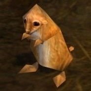 뫃히さんのプロフィール画像