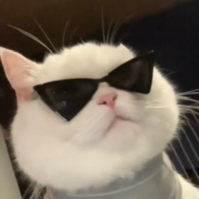 奶茶さんのプロフィール画像
