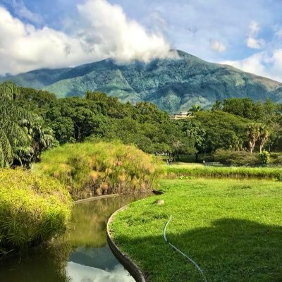 trucutruuuuu's profile picture. Carpe diem, quam minimum crédula postero.