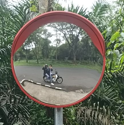 honggiap75's profile picture. Dyrot lah