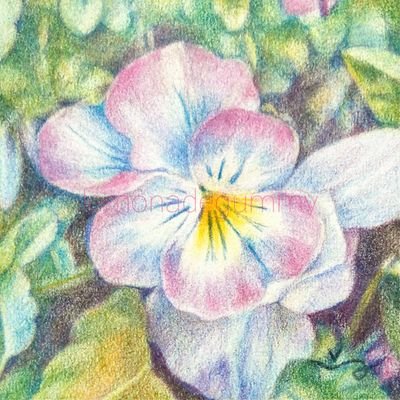 うぐさ みさき (@lemonadegummy) / Posts / X