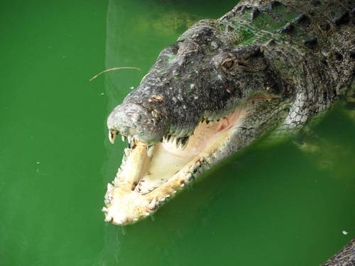 JonathanCable's profile picture. Reuters polling correspondent based in London, any views are my own and re-tweets are not endorsements