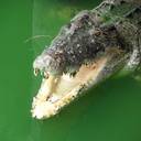 Jonathan Cable - @JonathanCable - Twitter