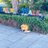 settyan_315