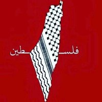 جنرال اليمن (@mhsnly2428) Twitter profile photo