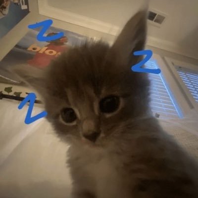 mimmoyamm's profile picture. isinya gajelas