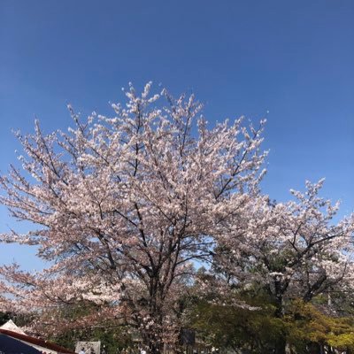 9iRFhNKW6aZ0n54's profile picture. これからはtakeよりgive/恩返ししていきたい