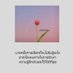 ดีไม่พอต้องขออภัย (@iygmyvpwnk5jqfl) Twitter profile photo ดีไม่พอต้องขออภัย (@iygmyvpwnk5jqfl) Twitter profile photo