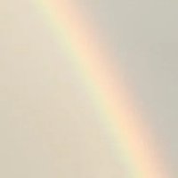 🍺 (@_ice__coffee_) 's Twitter Profile